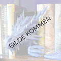 Ice Dragon Emerging- BookNook