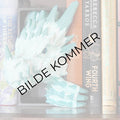 Crystal Dragon Emerging- BookNook
